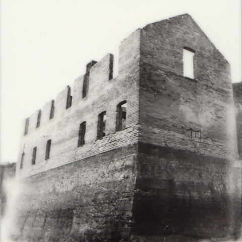 Polaroid photograph